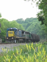 Springtime run in Va Mountains